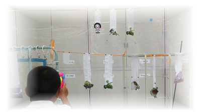 ペーパーをよ～くねらって！！